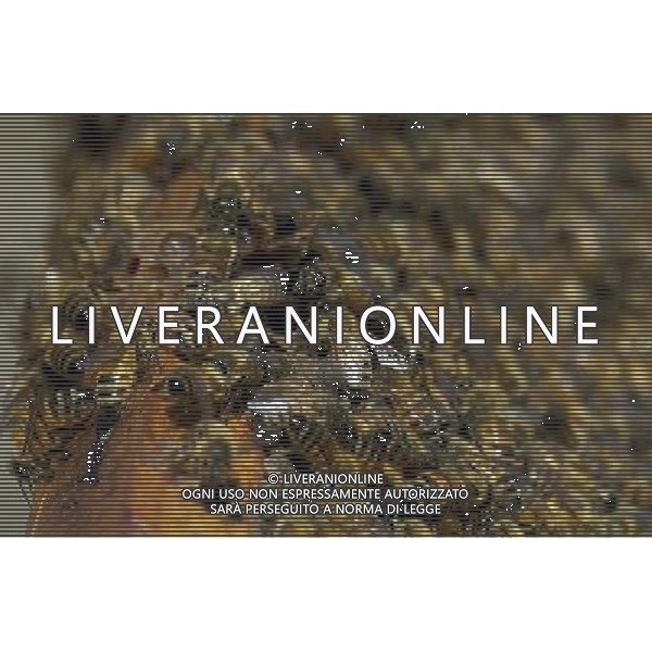 TORTONA - API NELLA FOTO: IL TELAIETTO APPENA ESTRATTO DALL\'ARNIA CON LE API OPERAIE. LE API COSTRUISCONO LE CELLETTE NEI FAVI VERGINI OVVERO TELAIETTI CON UNA BASE DI CERA, QUANDO SONO PIENI DI MIELE GLI INSETTI PROTEGGONO I FAVI CON ALTRA CERA, PER ACCEDERE AL MIELE L\'APICOLTORE DOVRA\' GRATTARE LA CERA PER FARLA CADERE IN UN RECIPIENTE, UNA VOLTA SCIOLTA, PRESSATA E STERILIZZATA A 120 GRADI, VERRA\' UTILIZZATA PER LE BASETTE DEI NUOVI FAVI VERGINI PH. ANDREA BUSI -ag aldo liverani