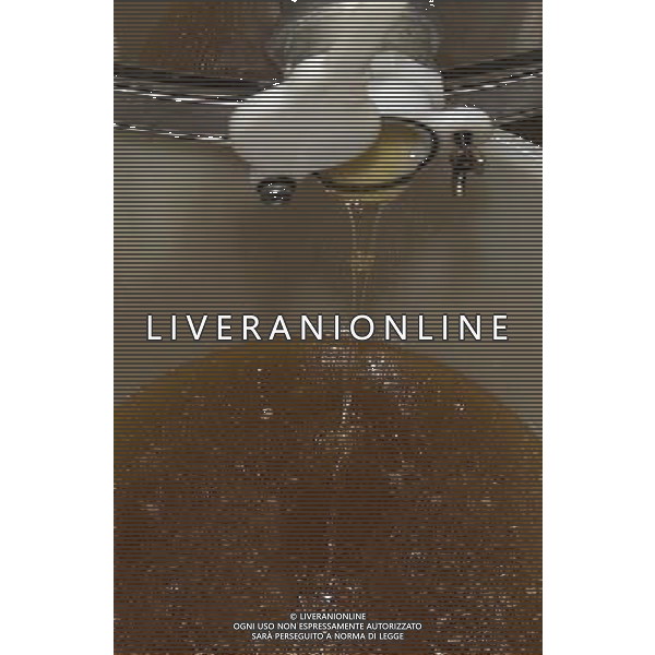 TORTONA - API NELLA FOTO: IL MIELE CENTRIFUGATO SI DEPOSITA SUL FONDO DELLO SMIELATORE ED E\' TRASFERITO NEL MATURATORE DOVE IN DUE SETTIMANE SI LIBERA DALLE IMPURITA\' PH. ANDREA BUSI PH. ANDREA BUSI -ag aldo liverani