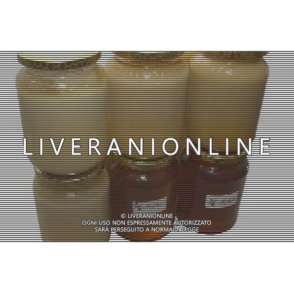 TORTONA - API NELLA FOTO: ALCUNI VASETTI DI MIELE PRODOTTI DALL\'APICOLTORE DINO PH. ANDREA BUSI -ag aldo liverani