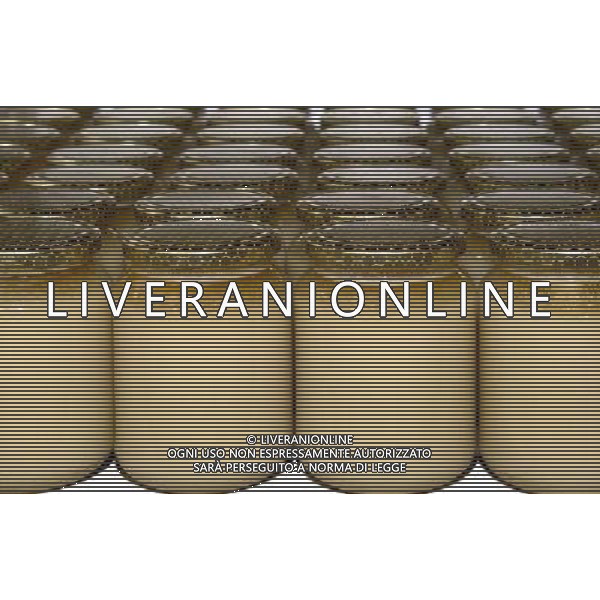 TORTONA - API NELLA FOTO: ALCUNI VASETTI DI MIELE PRODOTTI DALL\'APICOLTORE DINO PH. ANDREA BUSI