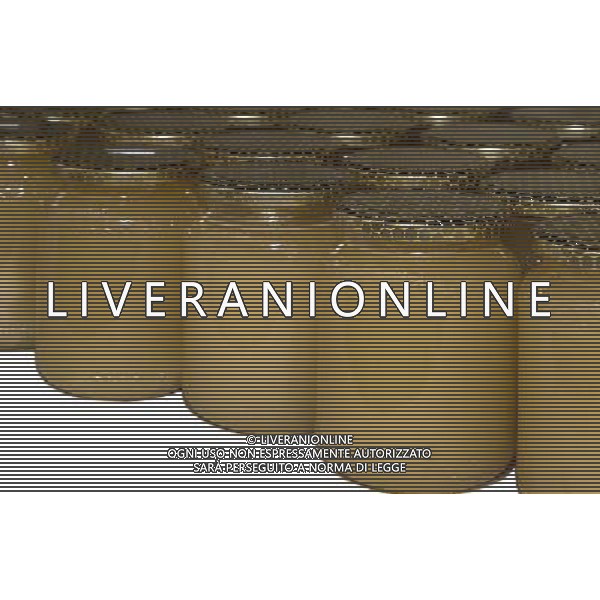 TORTONA - API NELLA FOTO: ALCUNI VASETTI DI MIELE PRODOTTI DALL\'APICOLTORE DINO PH. ANDREA BUSI