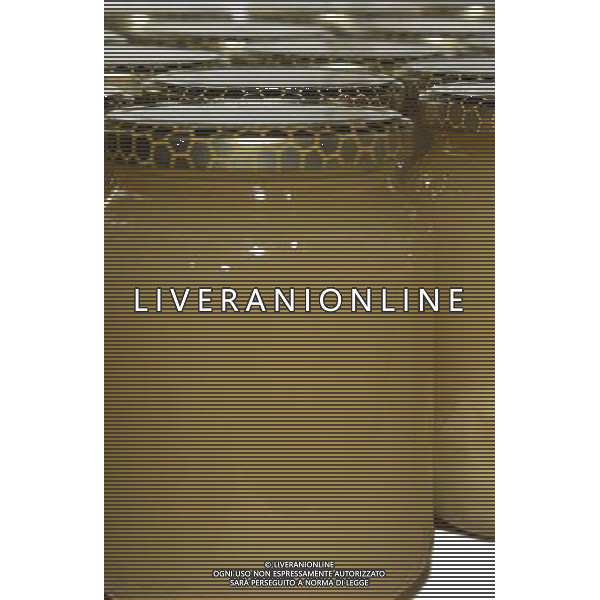 TORTONA - API NELLA FOTO: ALCUNI VASETTI DI MIELE PRODOTTI DALL\'APICOLTORE DINO PH. ANDREA BUSI