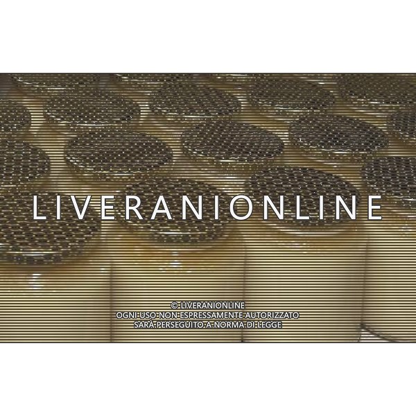 TORTONA - API NELLA FOTO: ALCUNI VASETTI DI MIELE PRODOTTI DALL\'APICOLTORE DINO PH. ANDREA BUSI