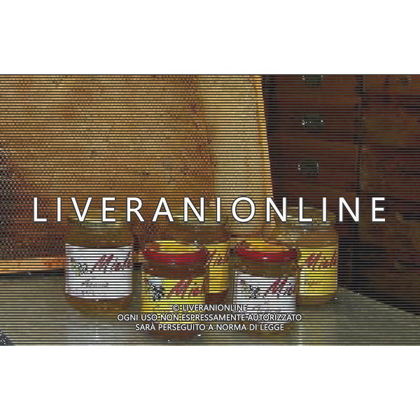 TORTONA - API NELLA FOTO: ALCUNE VARIETA\' DI MIELE PH. ANDREA BUSI