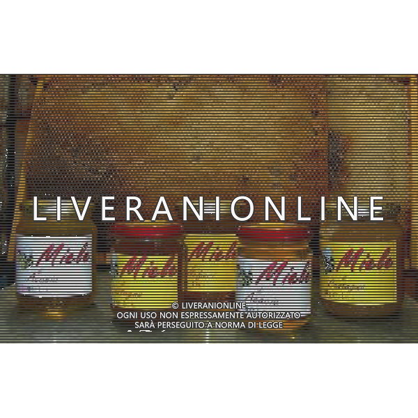 TORTONA - API NELLA FOTO: ALCUNE VARIETA\' DI MIELE PH. ANDREA BUSI