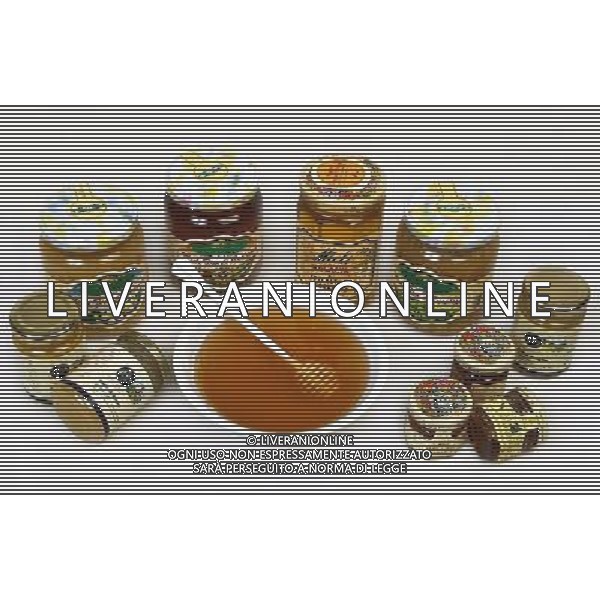 TORTONA - API NELLA FOTO: ALCUNE VARIETA\' DI MIELE PH. ANDREA BUSI