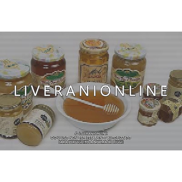 TORTONA - API NELLA FOTO: ALCUNE VARIETA\' DI MIELE PH. ANDREA BUSI