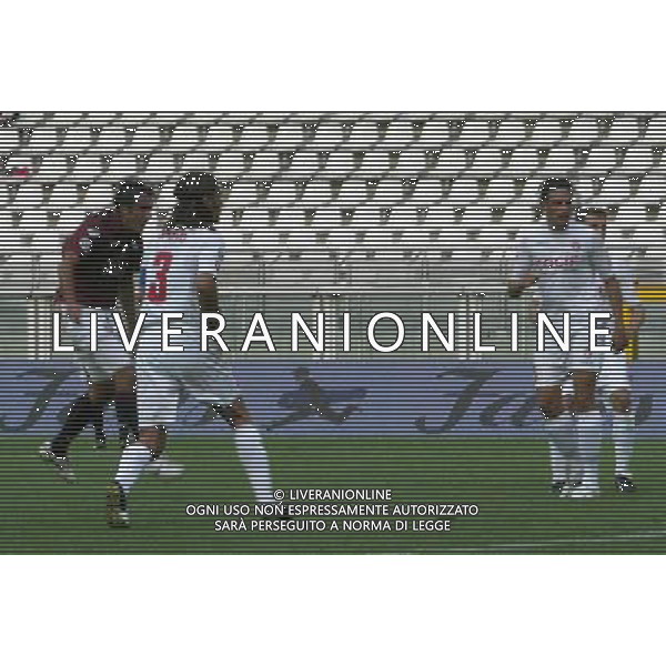 Torino - Rimini Coppa Italia Tim Cup 2007/2008 29-08-2007 Nella foto: il Gol di simone barone ©Falzone/Press Photo/Ag. Aldo Liverani Sas