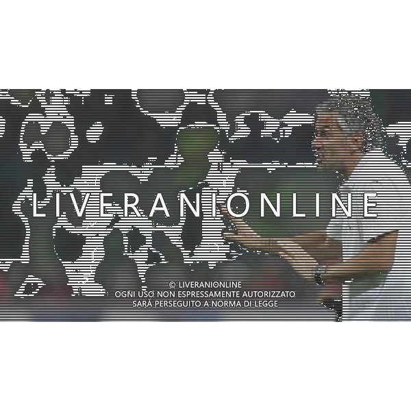 Italia - Francia Qualificazioni Europei 2008 08/09/2007 nella foto donadoni roberto ph Agenzia Aldo Liverani Sas