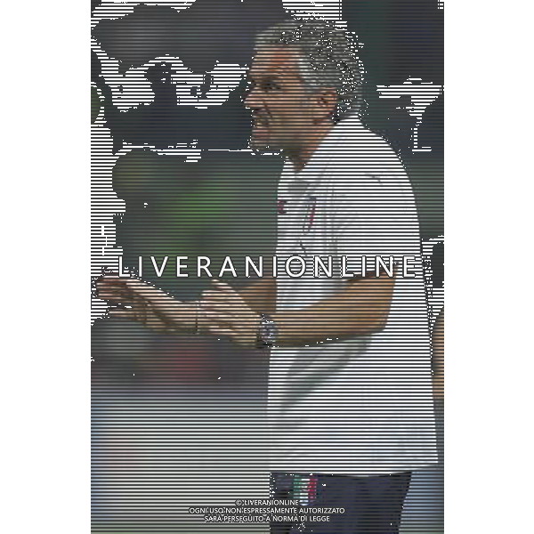 Italia - Francia Qualificazioni Europei 2008 08/09/2007 nella foto donadoni roberto ph Agenzia Aldo Liverani Sas