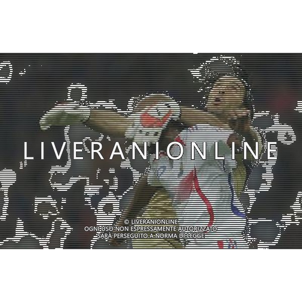 Italia - Francia Qualificazioni Europei 2008 08/09/2007 nella foto anelka e buffon gianluigi ph Agenzia Aldo Liverani Sas