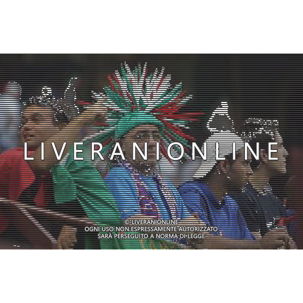 Milano 08-09-2007 Qualificazioni Europei 2008 italia-francia 0:0 nella foto tifo italia ph marco luzzani/ag aldo liverani s.a.s.