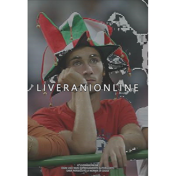 Milano 08-09-2007 Qualificazioni Europei 2008 italia-francia 0:0 nella foto tifo italia ph marco luzzani/ag aldo liverani s.a.s.