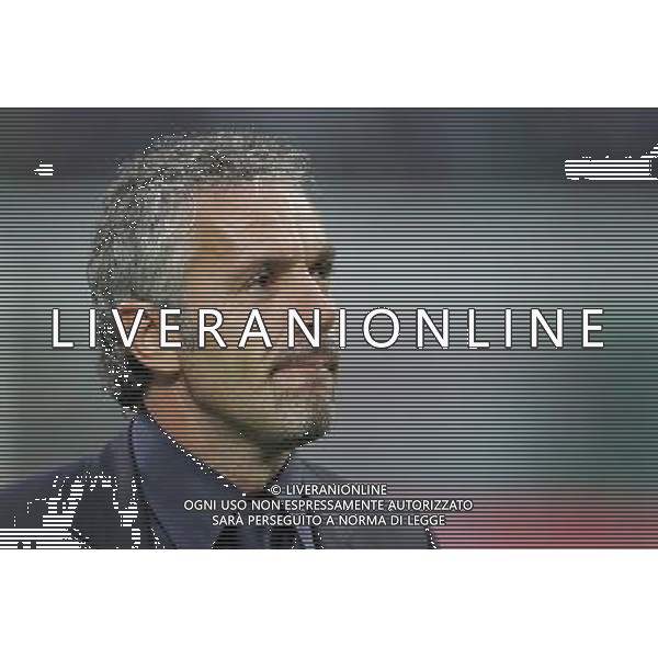 Milano 8 settembre 2007 Italia - Francia qualificazioni Euro 2008 nella foto: Donadoni Roberto foto Andry / Ag. Aldo Liverani