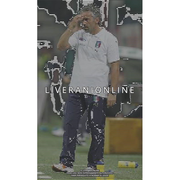 Milano 8 settembre 2007 Italia - Francia qualificazioni Euro 2008 nella foto: Donadoni Roberto foto Andry / Ag. Aldo Liverani