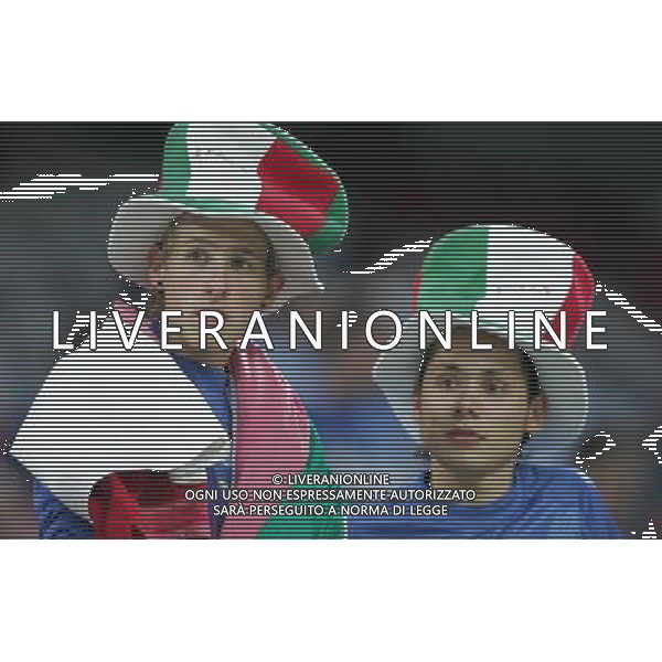 Milano 8 settembre 2007 Italia - Francia qualificazioni Euro 2008 nella foto: Tifo Italia foto Andry / Ag. Aldo Liverani