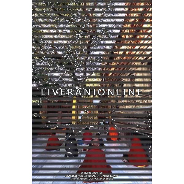 MONACI BUDDISTI Inde: Bodhgaya (état du Bihar)<br>Reccueillement des moines (bonzes) sous l\'arbre de Bouddha au sein du temple, au coeur du village <br>13/09/05<br> Andia fr./Ag.Aldo Liverani