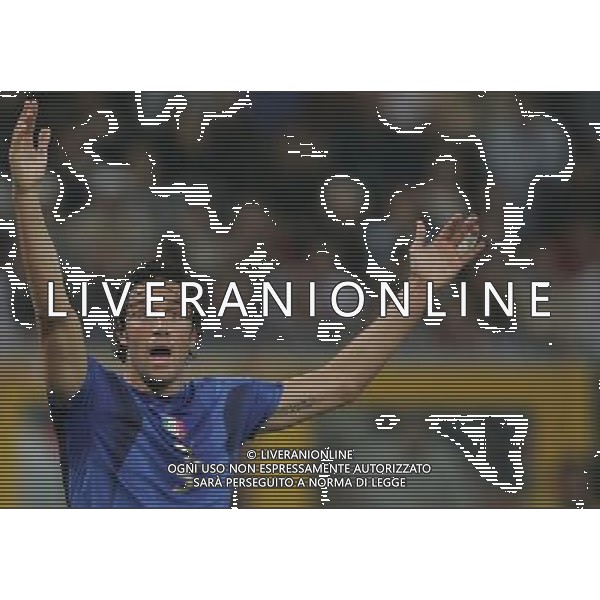 Genova 13 ottobre 2007 Italia-Georgia qualificazioni Euro 2008 nella foto: Toni Luca foto Andry / Ag. Aldo Liverani