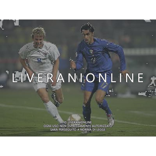 Modena 21/11/2007 qualificazione euro 2008 italia-far oer nella foto palladino e samuelson ph marco luzzani/ag aldo liverani s.a.s.