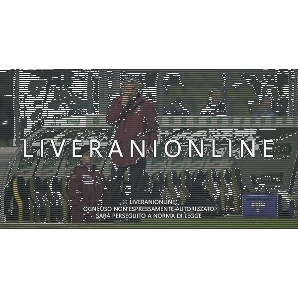 Modena 21/11/2007 qualificazione euro 2008 italia-far oer nella foto roberto donadoni ph marco luzzani/ag aldo liverani s.a.s.