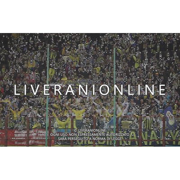 Milano 28/11/2007 Champions League 2007/08 inter-fenerbahce sk 3:0 nella foto tifo fenerbahce ph marco luzzani/ag aldo liverani s.a.s.