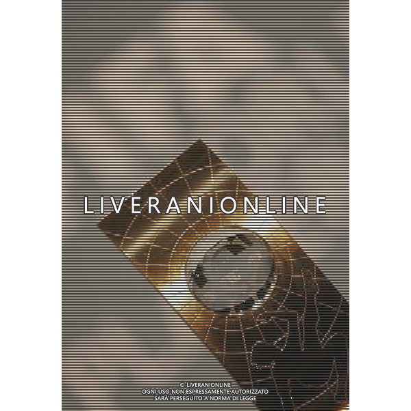 Zurigo 17 dicembre 2007 Fifa World Player 2007 nella foto: il premio Fifa World Player foto Andry / Ag. Aldo Liverani