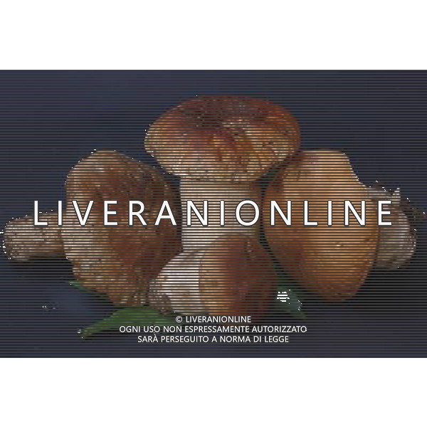 Milano 10/10/2007 nella foto: Funghi porcini ifc/Ag Aldo Liverani