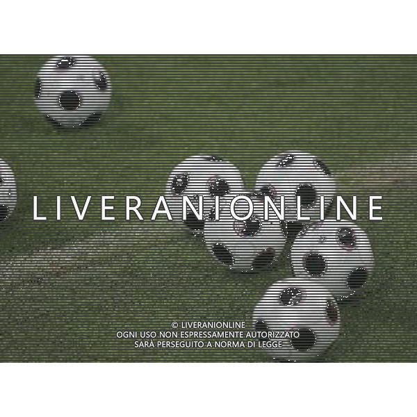 Raduno e Allenamento della Nazionale Italiana a Milano 04/02/2008 nella foto il pallone dei prossimi europei ph Luzzani/Ag. Aldo liverani sas 