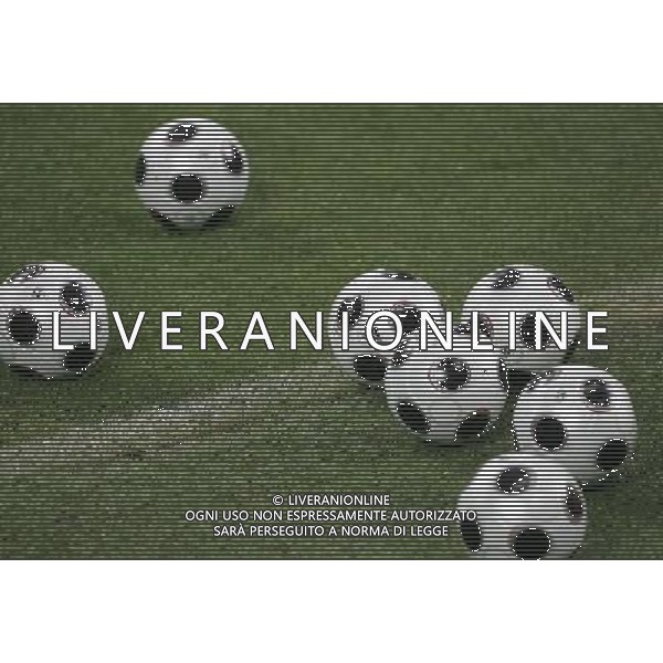 Milano 04-02-2008 raduno e allenamento nazionale italiana di calcio stadio g. meazza a s. siro nella foto pallone europei 2008 ph marco luzzani/ag aldo liverani s.a.s. 