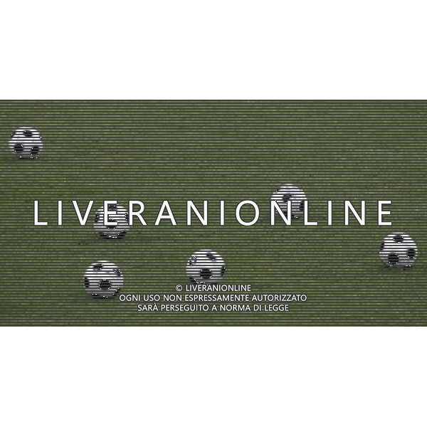 Milano 04-02-2008 raduno e allenamento nazionale italiana di calcio stadio g. meazza a s. siro nella foto palloni europei 2008 ph marco luzzani/ag aldo liverani s.a.s. 