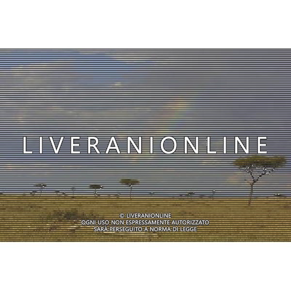 Kenya (Africa) Parco Maasai Mara Arcobaleno sul panorama Foto Goiorani \' C.-AG ALDO LIVERANI