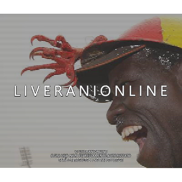 TIFOSI Supporter du Mali - 29.01.2008 - Cote d\'Ivoire / Mali - Coupe d\'Afrique des Nations 2008 - Ghana COSTA D\'AVORIO - MALI COPPA D\'AFRICA Photo : Lane / Icon Sport/Ag. Aldo Liverani sas - ONLY ITALY - ONLY FOR ITALIAN MARKET - 