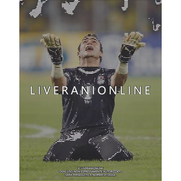 ESULTANZA DI Essam EL HADARY - 10.02.2008 - Egypte / Cameroun - Finale de la Coupe d\'Afrique des Nations - Ghana EGITTO - CAMERUN FINALE COPPA D\'AFRICA Photo : Richard Lane / Icon Sport/Ag. Aldo Liverani sas - ONLY ITALY - ONLY FOR ITALIAN MARKET -