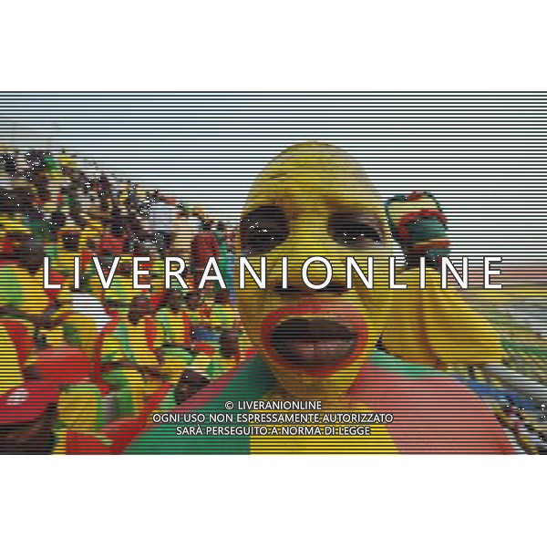 TIFOSI Supporters MALI - 29.01.2008 - Cote d Ivoire / Mali - Coupe d\'Afrique des Nations 2008 - Ghana COSTA D\'AVORIO - MALI COPPA D\'AFRICA Photo : Jiro Mochizuki / Shot / Icon Sport/Ag. Aldo Liverani sas - ONLY ITALY - ONLY FOR ITALIAN MARKET -