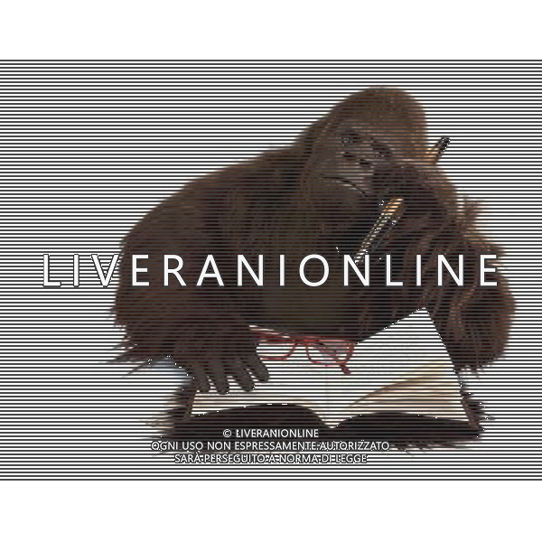 IL GORILLA DINO PRESENTAZIONE DI \' QUESTIONE DI PEELING\' - IL LIBRO DEL GORILLA ALLA MONDADORI RETAIL DI VIA MARGHERA A MILANO. FOTO ANTONIO SORANO - AG. ALDO LIVERANI sas 