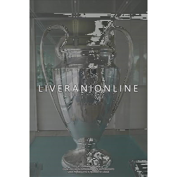 nyon svizzera2003 NELLA FOTO LA COPPA CAMPIONI FOTO ALDO LIVERANI