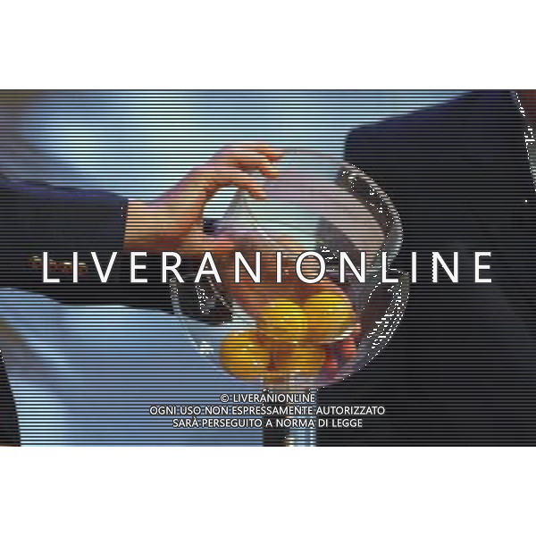 calcio 2003 nella foto SORTEGGIO U E F A foto aldo liverani