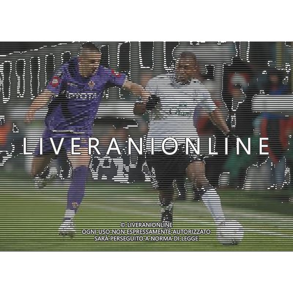 Coppa UEFA 2007/2008 Ottavi di Finale Andata Firenze - 06.03.2008 Fiorentina-Everton Nella Foto:YAKUBU AYEGBENI-GAMBERINI ALESSANDRO /Ph.Vitez-Ag. Aldo Liverani
