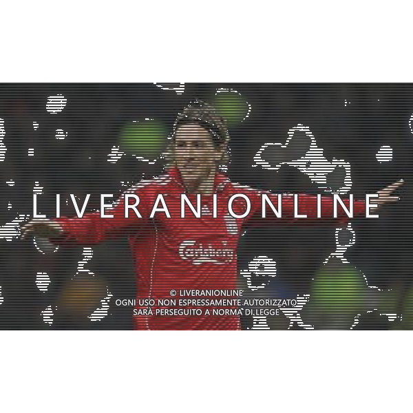Inter - Liverpool Champions League ottavi di finale di ritorno 11/03/2008 nella foto esultanza dopo il gol di fernando torres ph luzzani/Ag. Aldo Liverani sas
