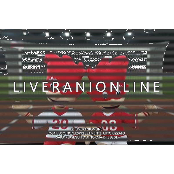 Le Mascotte degli Europei 2008 International, ZŸrich, 20.11.2007 Maskottchen Trix und Flix der EM, Europameisterschaft 2008, UEFA, EURO2008, Euro, Austria-Switzerland, Austria, Switzerland, im Letzigrund-Stadion in ZŸrich, …sterreich, Schweiz copyright by firo sportphoto/Ag. Aldo Liverani sas - ONLY ITALY - EDITORIAL USE ONLY - 