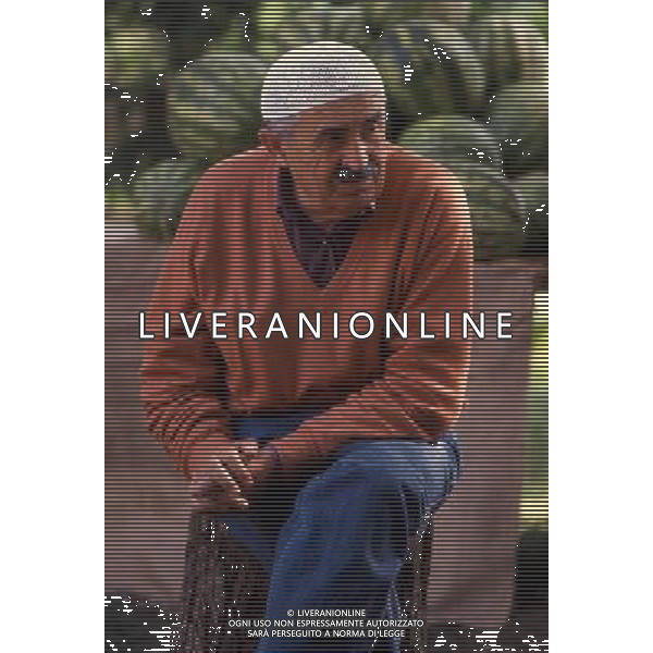 ARCHVIO ALDO LIVERANI S A S NELLA FOTO TONINO GUERRA AG ALDO LIVERANI