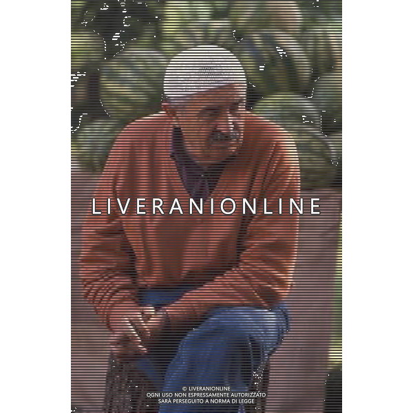 ARCHVIO ALDO LIVERANI S A S NELLA FOTO TONINO GUERRA AG ALDO LIVERANI