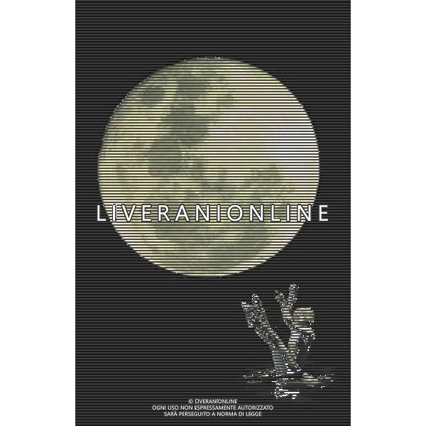 MILANO 7/5/2008 TEATRO DEGLI ARCIMBOLDI PRESENTAZIONE DELLO ASPETTACOLO TEATRALE: -CATS- NELA FOTO LO SPETTACOLO FOTO MARIO ROMANO/AG ALDO LIVERANI