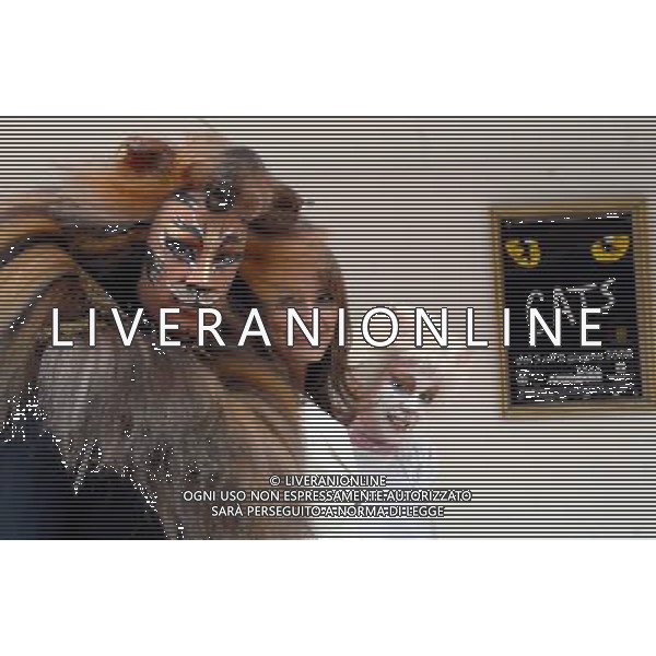 MILANO 7/5/2008 TEATRO DEGLI ARCIMBOLDI PRESENTAZIONE DELLO ASPETTACOLO TEATRALE: -CATS- NELA FOTO STUART RAMSAY, CRISSIE HAMMOND E RACHEL ENSOR FOTO MARIO ROMANO/AG ALDO LIVERANI