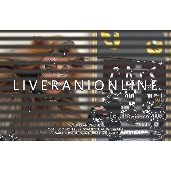 MILANO 7/5/2008 TEATRO DEGLI ARCIMBOLDI PRESENTAZIONE DELLO ASPETTACOLO TEATRALE: -CATS- NELA FOTO STUART RAMSAY FOTO MARIO ROMANO/AG ALDO LIVERANI