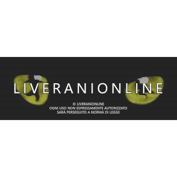 MILANO 7/5/2008 TEATRO DEGLI ARCIMBOLDI PRESENTAZIONE DELLO ASPETTACOLO TEATRALE: -CATS- NELA FOTO GLI OCCHI DEL GATTO FOTO MARIO ROMANO/AG ALDO LIVERANI