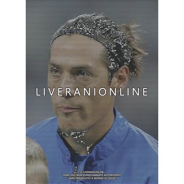 Milano 8 settembre 2007 Italia - Francia qualificazioni Euro 2008 nella foto: Camoranesi Mauro German foto Andry / Ag. Aldo Liverani