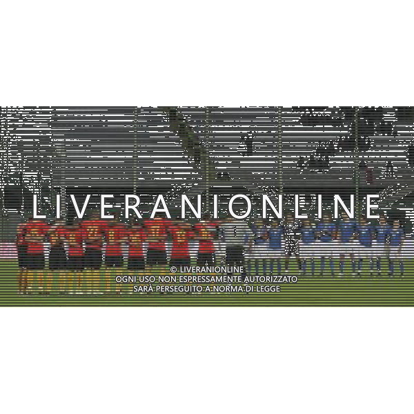 Partita Amichevole Firenze - 30.05.2008 Italia-Belgio Nella Foto: italia/belgio /Ph. Luzzani-Ag. Aldo Liverani