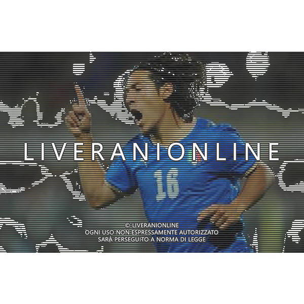 Partita Amichevole Firenze - 30.05.2008 Italia-Belgio Nella Foto:CAMONARESI ESULTA /Ph.Vitez-Ag. Aldo Liverani