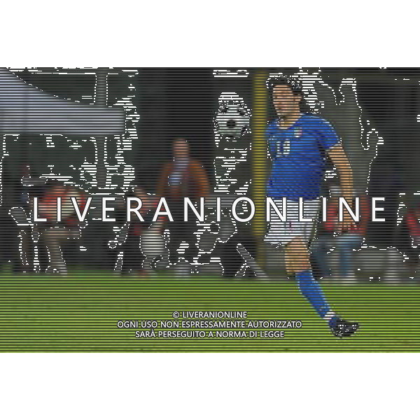 Partita Amichevole Firenze - 30.05.2008 Italia-Belgio Nella Foto:ZAMBROTTA /Ph.Vitez-Ag. Aldo Liverani